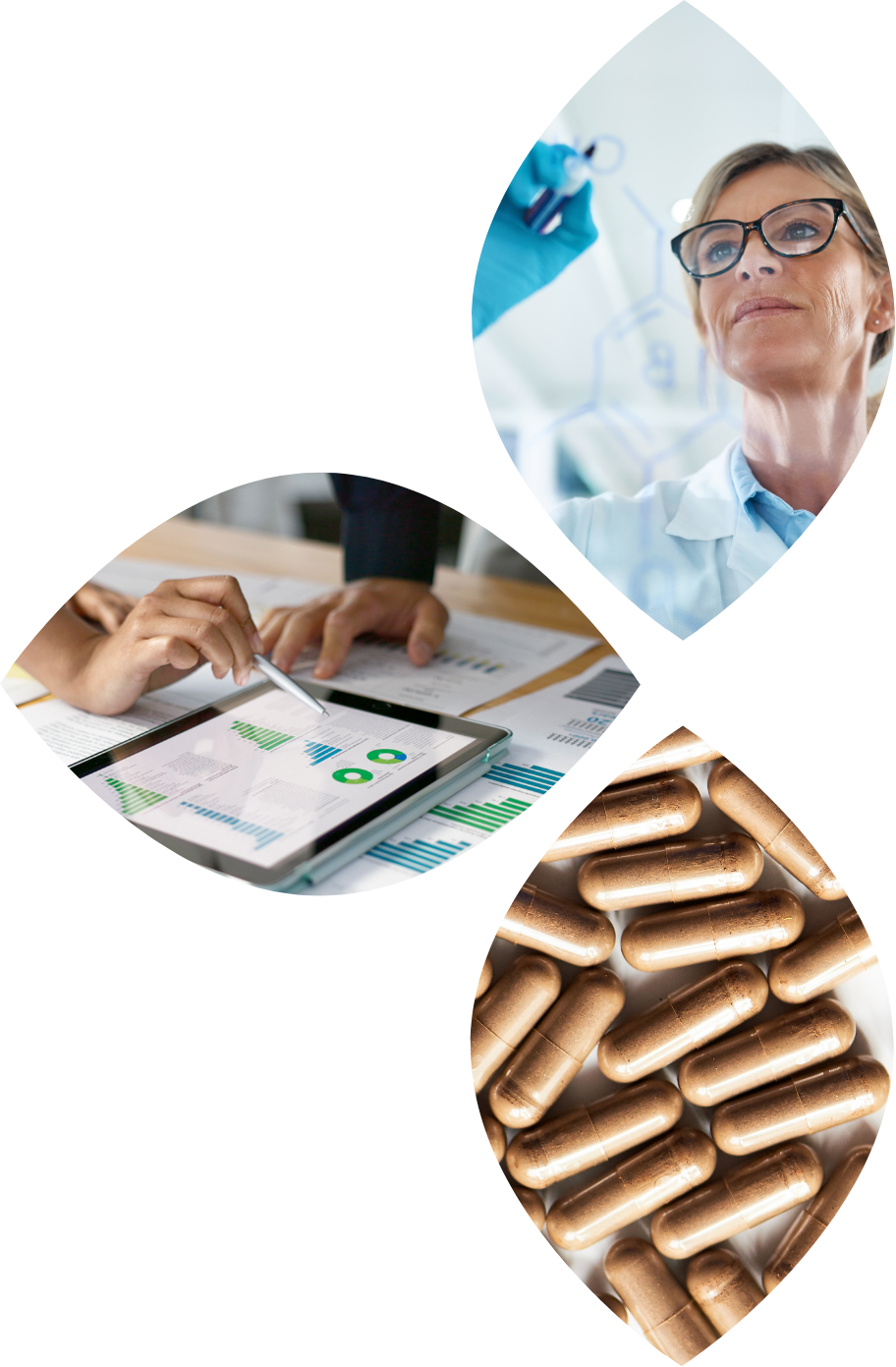 ingredient leaf image